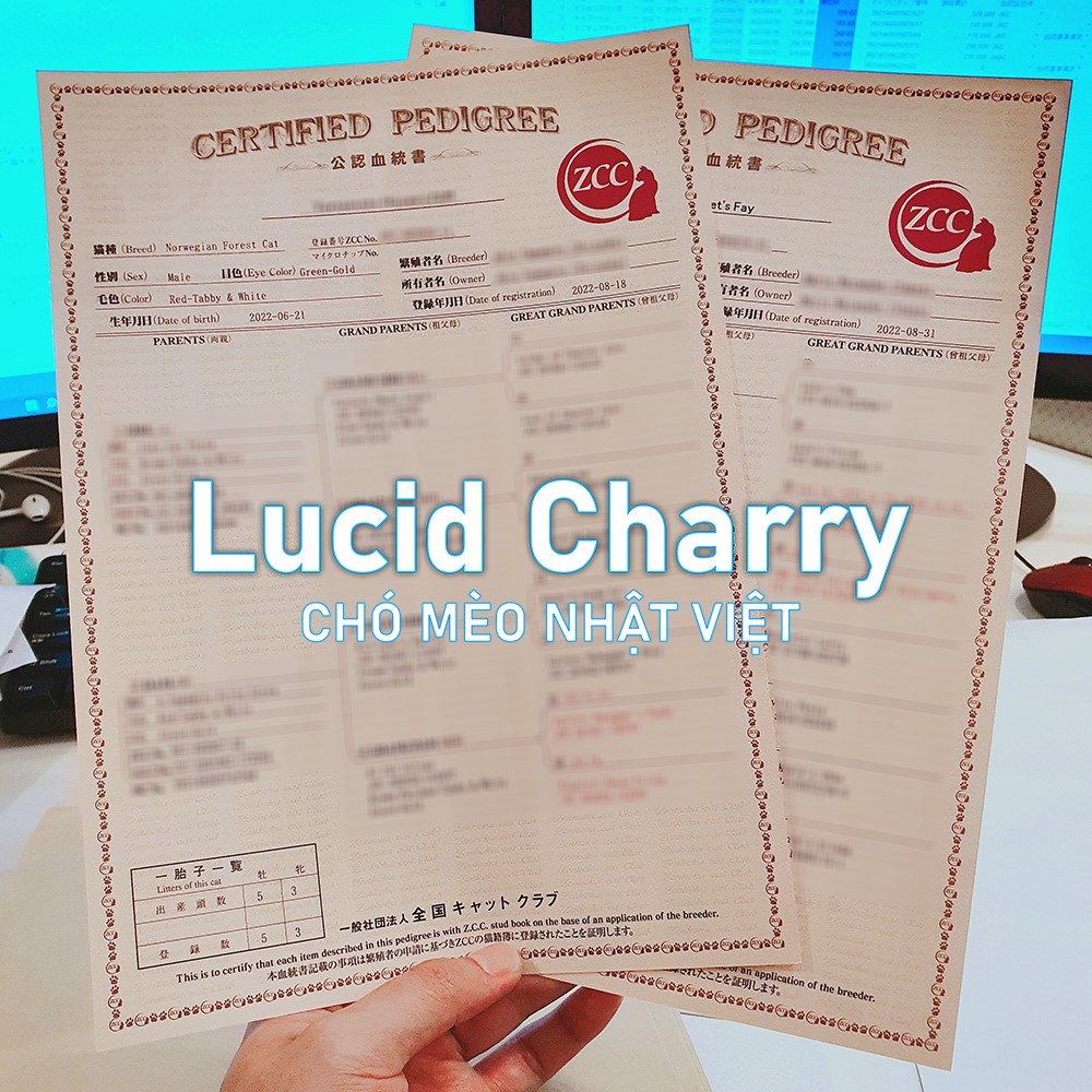 Hiệp hội Mèo Nhật Bản