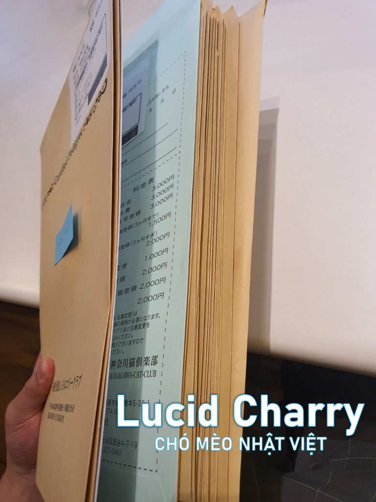 Phả hệ chó mèo