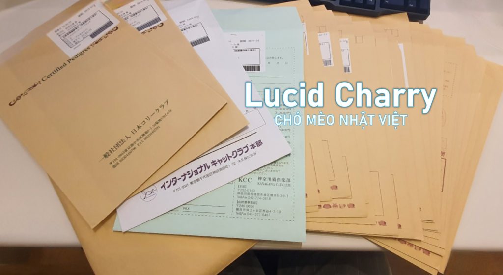 Phả hệ chó mèo