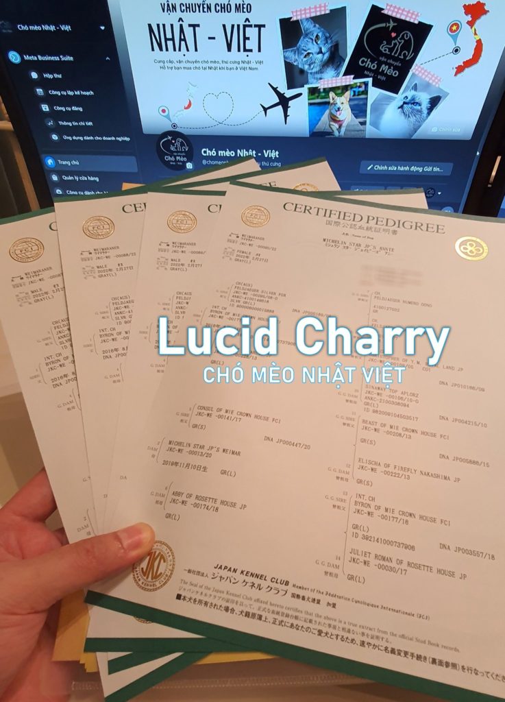 Phả hệ chó mèo