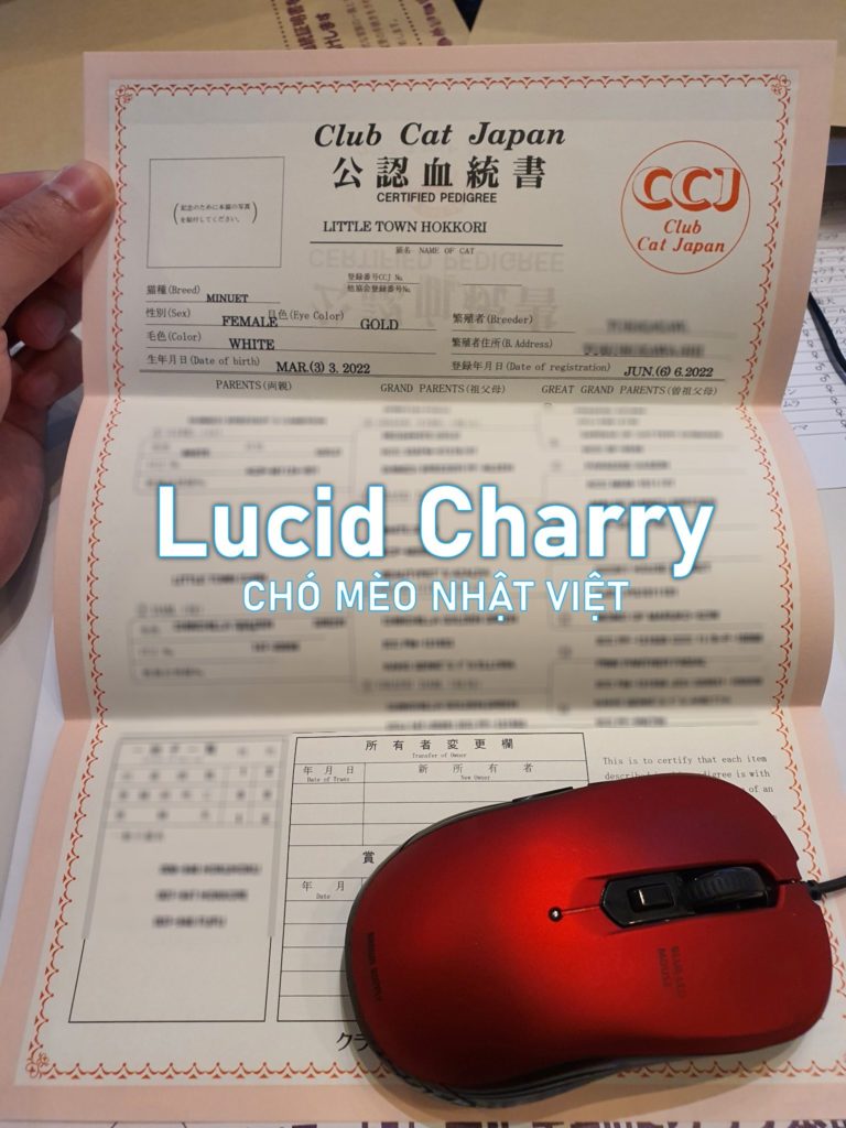 Phả hệ của Mèo Nhật