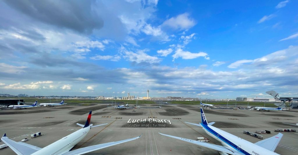 Xuất cảnh chó từ Nhật Bản