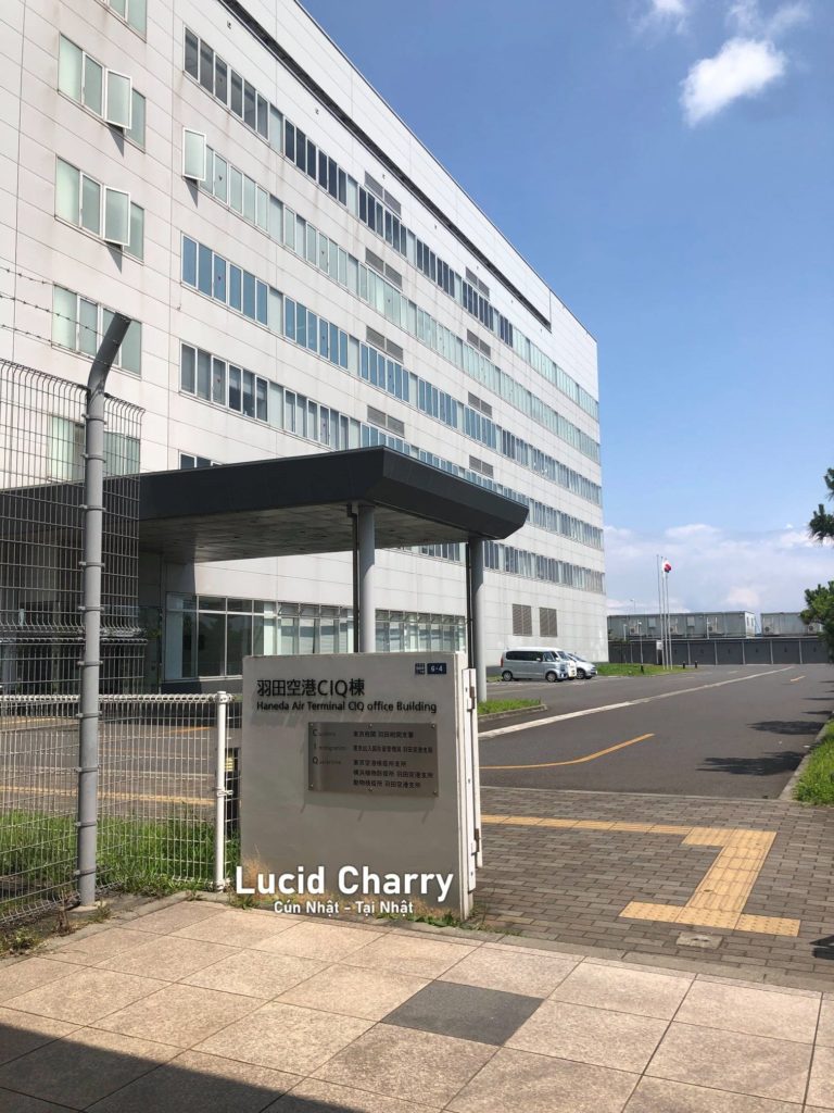 Xuất cảnh chó từ Nhật Bản