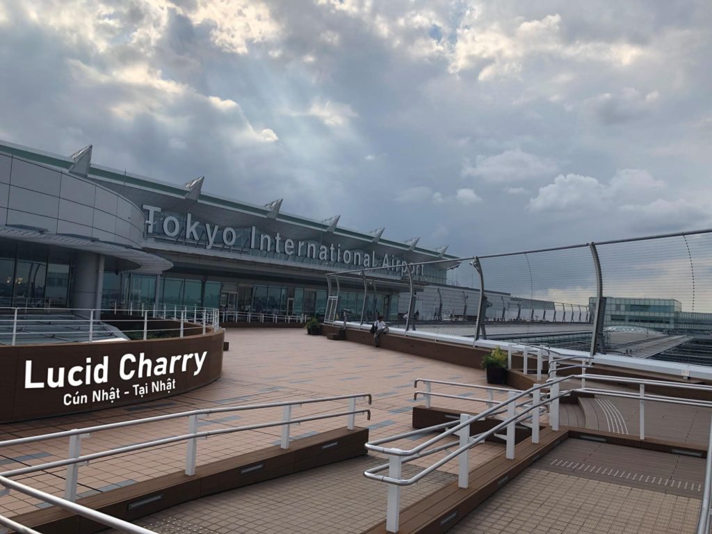 Xuất cảnh chó từ Nhật Bản